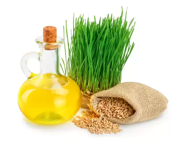 Wheat germ oil as part of the ZXCVBNQWERT cream