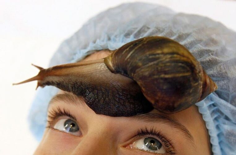 snail rejuvenation
